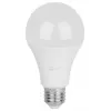 Лампочка светодиодная  LED A65-30W-865-E27 GL ЭРА