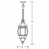 Стеклянный уличный светильник подвесной  83405S Gb прозрачный Oasis Light