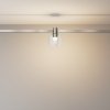 Стеклянный трековый светильник Bubble TR148-1-3W3K-PT форма шар прозрачный Maytoni
