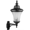 Стеклянный настенный фонарь уличный ELBA 86401/01 Bl Oasis Light