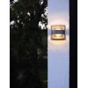 Настенный светильник уличный SIDNEY 1838S Gr прозрачный Oasis Light