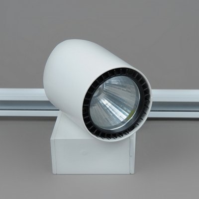 Спот  04-30W LED COB 6000K Elvan