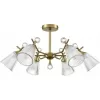 Стеклянная потолочная люстра Aurica 8046/6C прозрачная конус Lumion