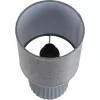 Интерьерная настольная лампа Asela 8161/1T цилиндр серый Lumion Интерьерная настольная лампа Asela 8161/1T цилиндр серый Lumion