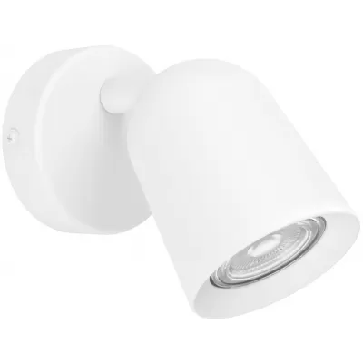 Спот Camaldoli 901945 Eglo