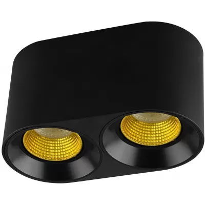Точечный светильник  DK3096-BK+YE Denkirs