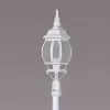 Стеклянный наземный фонарь  83409S W прозрачный Oasis Light