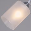 Стеклянная потолочная люстра  06108-0.3-05 WH+CR белая цилиндр