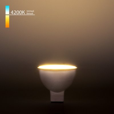 Лампочка светодиодная  BLG5302 Elektrostandard