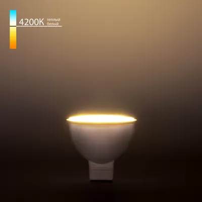Лампочка светодиодная  BLG5302 Elektrostandard