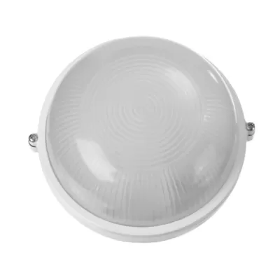 Настенно-потолочный светильник НБП 03-100-001 53173 Feron