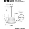 Подвесной светильник Вена CL402030 конус белый Citilux