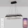 Хрустальная подвесная люстра Royalton LED LAMPS 81276 прозрачная Natali Kovaltseva