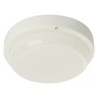 Настенно-потолочный светильник AL3008 48997 Feron