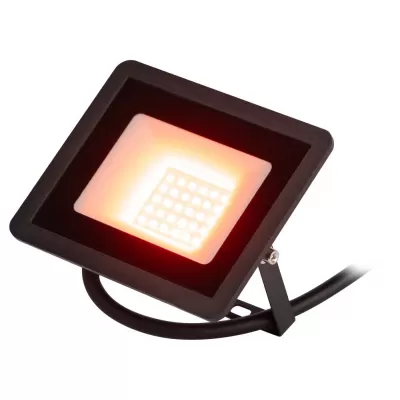 Прожектор уличный LPR-02 LPR-025-RED-030 ЭРА