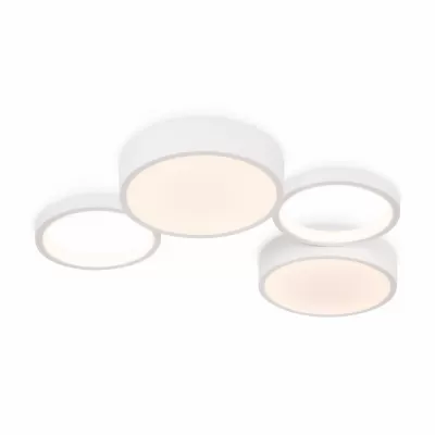 Потолочный светильник Molecule FR6080CL-L92W Freya круглый