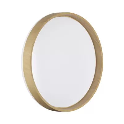 Настенно-потолочный светильник Gari Wood 7684/DLN Sonex