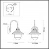 Стеклянный настенный фонарь уличный Kalpi 4836/1W прозрачный Odeon Light