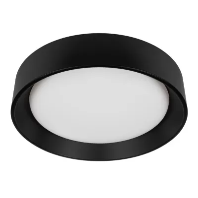 Потолочный светильник Coin 10202 BB Loft It круглый