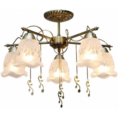 Потолочная люстра Delia TL1195X-05AB TopLight