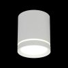 Точечный светильник Capurso OML-102409-05 цилиндр белый Omnilux