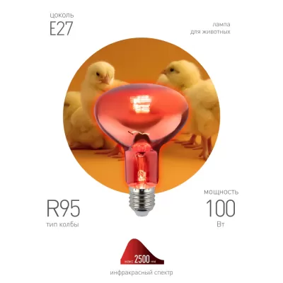 Лампочка инфракрасная  ИКЗК 230-100 R95 E27 ЭРА