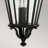 Стеклянный уличный светильник подвесной Cotswold Lane FE-COTSLN8-L-BK прозрачный конус Feiss