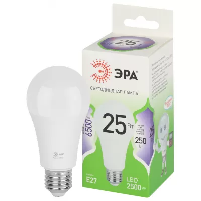 Лампочка светодиодная  LED A60-25W-865-E27 GL ЭРА
