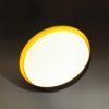 Настенно-потолочный светильник Tuna Yellow 7711/EL белый Sonex