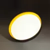 Настенно-потолочный светильник Tuna Yellow 7711/EL белый Sonex