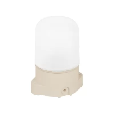 Настенно-потолочный светильник НББ 01-60-001 53168 Feron