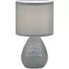 Интерьерная настольная лампа Provo 10168/L Grey серый цилиндр Escada