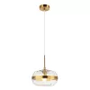Стеклянный подвесной светильник Gabriela APL.305.06.01 форма шар прозрачный Aployt Стеклянный подвесной светильник Gabriela APL.305.06.01 форма шар прозрачный Aployt