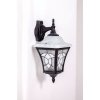 Стеклянный настенный фонарь уличный VENECIA 2L 91802L/04 Bl белый Oasis Light