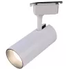 Трековый светильник  TR5-30 COB WH белый цилиндр ЭРА