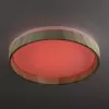 Потолочный светильник Enzo CL753352G белый Citilux