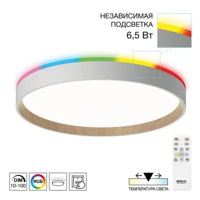 Потолочный светильник Etalon CL750320R Citilux