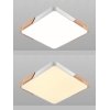 Потолочный светильник Scandinavian LED LAMPS 81411 белый Natali Kovaltseva