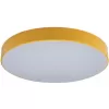 Потолочный светильник Axel 10002/24 Yellow белый Loft It