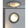 Стеклянный настенно-потолочный светильник Aqua GRLSL-5512-01 белый Loft