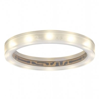 Точечный светильник Star Line Ring 98863 Paulmann