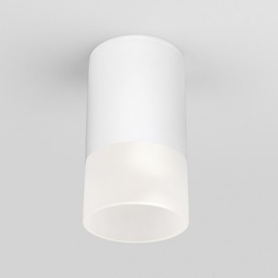 Потолочный светильник уличный Light LED 35139/H белый Elektrostandard