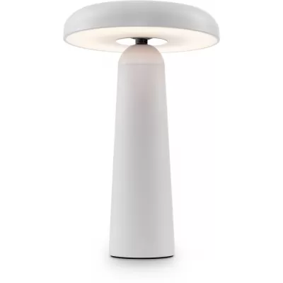 Интерьерная настольная лампа Mushroom FR6109TL-L4W Freya