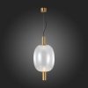 Стеклянный подвесной светильник Allenore SL1582.313.01 прозрачный форма шар ST Luce