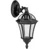 Стеклянный настенный фонарь уличный ROMA S 95202S/15 Bl прозрачный Oasis Light Стеклянный настенный фонарь уличный ROMA S 95202S/15 Bl прозрачный Oasis Light