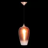 Стеклянный подвесной светильник Fade Pendant light LOFT2020-B прозрачный Loft It