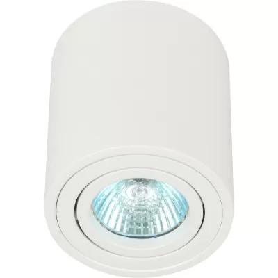 Точечный светильник  OL21 WH ЭРА