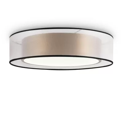 Потолочный светильник Zoticus FR6005CL-L36G Freya