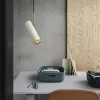 Подвесной светильник  TALSI-ONE01 цилиндр белый ImperiumLoft