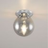 Стеклянный настенно-потолочный светильник Томми CL102510 форма шар серый Citilux